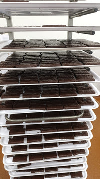 AminoLactive Bar Nocciola