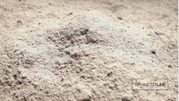 SieroLac: Proteine Whey Grass-Fed Irlandesi ad Alta Purezza